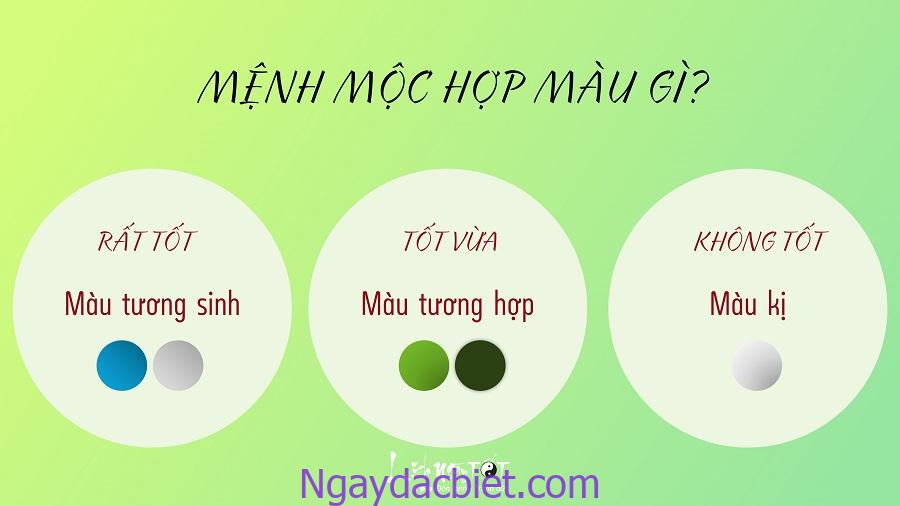 Mệnh Mộc hợp màu gì?