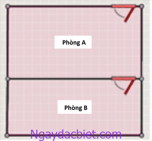 Phong trong phong